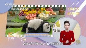 由青年导演陈仕忠编剧并执导，舒淇、白客领衔主演，张本煜主演，郎月婷特别出演，顿河担任制片人的电影《寻她》入围主竞赛单元角逐金爵奖。